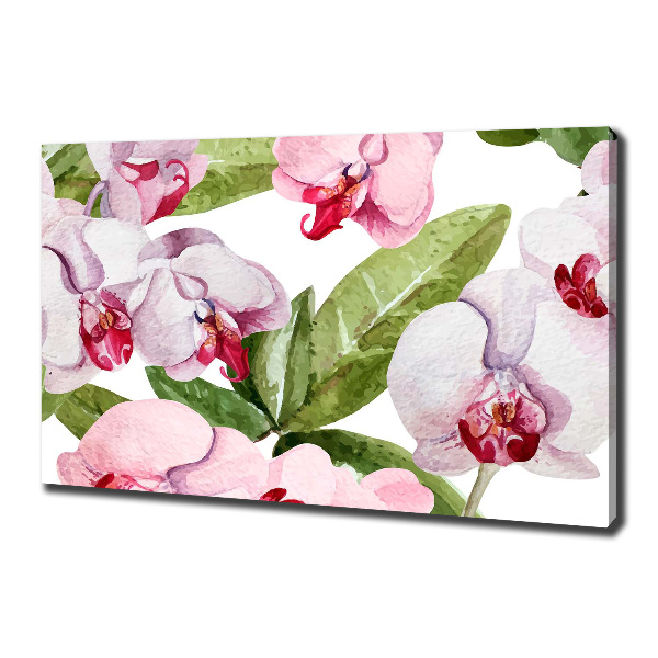 Bild auf leinwand Rosa Orchideen