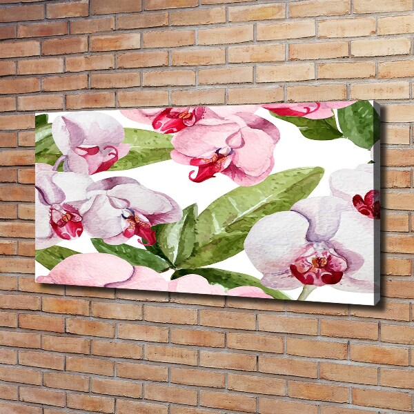 Bild auf leinwand Rosa Orchideen