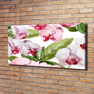 Bild auf leinwand Rosa Orchideen