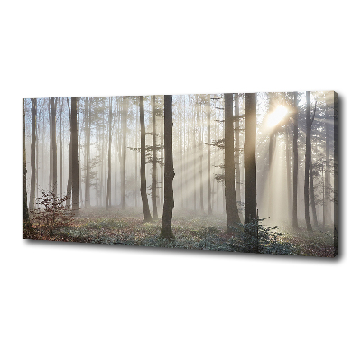 Bild auf leinwand Nebel im Wald