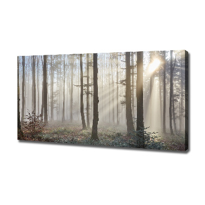 Bild auf leinwand Nebel im Wald