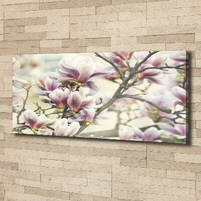 Wandbild Magnolie