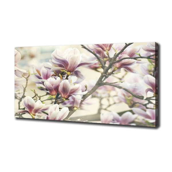 Wandbild Magnolie