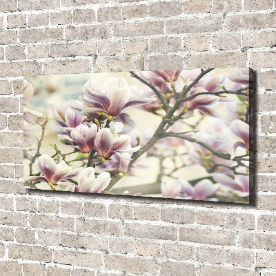 Wandbild Magnolie
