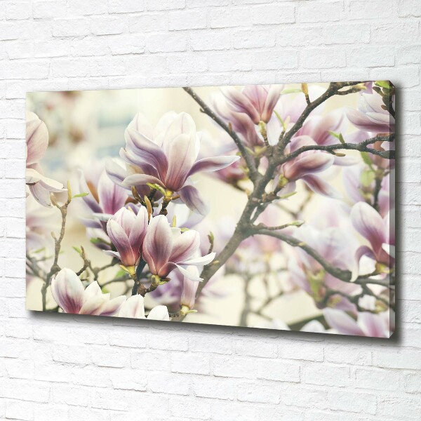 Wandbild Magnolie