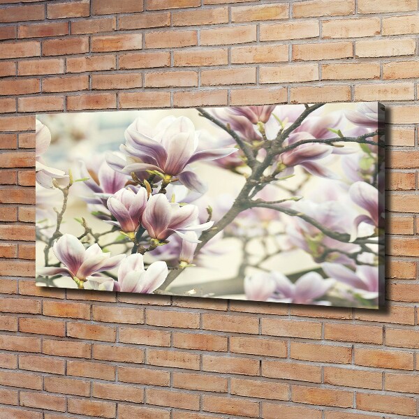 Wandbild Magnolie