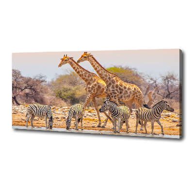 Wandbild Giraffen und Zebras