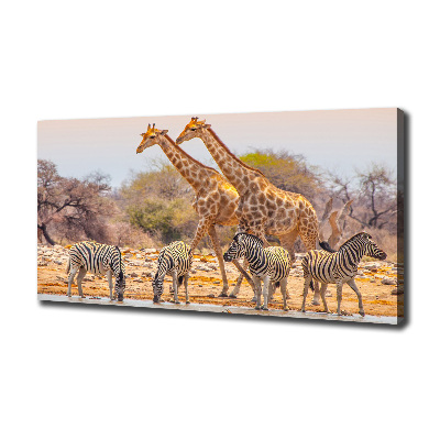Wandbild Giraffen und Zebras