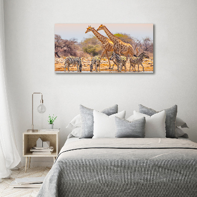 Wandbild Giraffen und Zebras