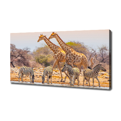 Wandbild Giraffen und Zebras