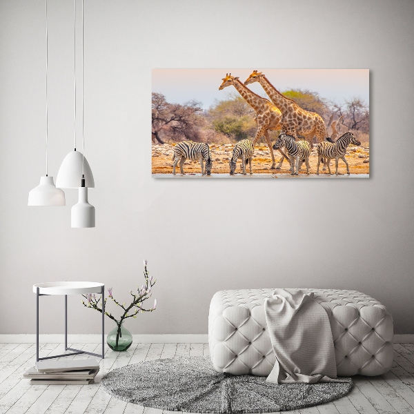 Wandbild Giraffen und Zebras