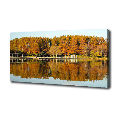 Bild auf leinwand Wald am See
