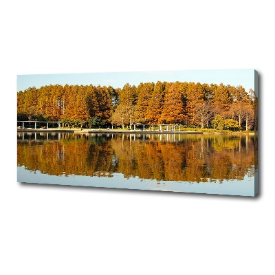 Bild auf leinwand Wald am See