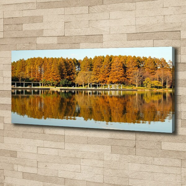 Bild auf leinwand Wald am See