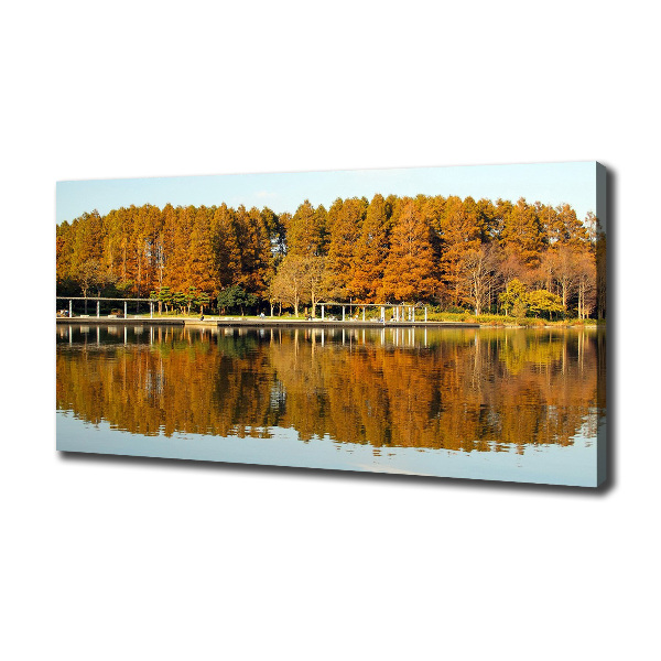 Bild auf leinwand Wald am See
