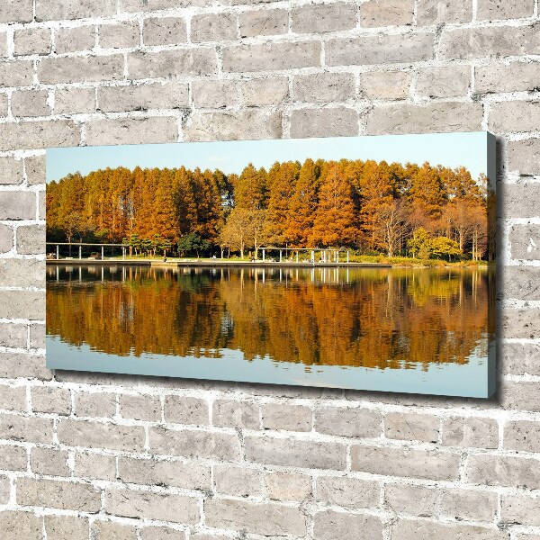 Bild auf leinwand Wald am See