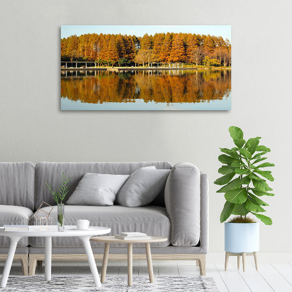 Bild auf leinwand Wald am See