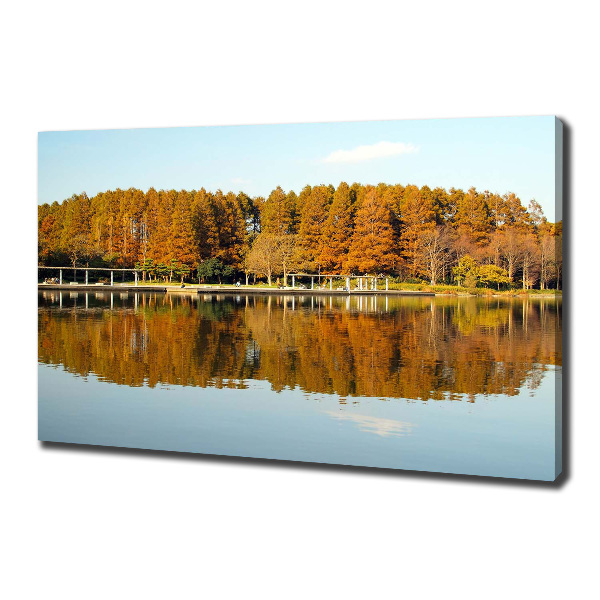 Bild auf leinwand Wald am See