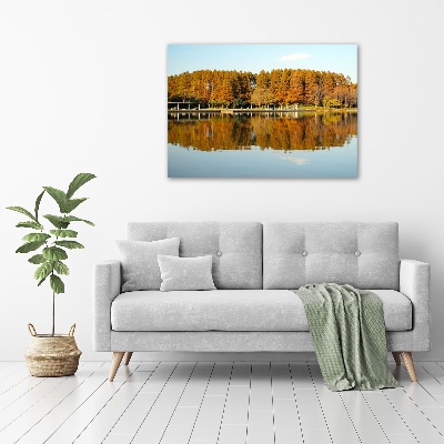 Bild auf leinwand Wald am See