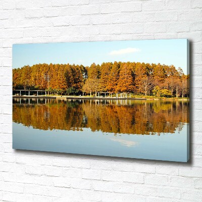 Bild auf leinwand Wald am See