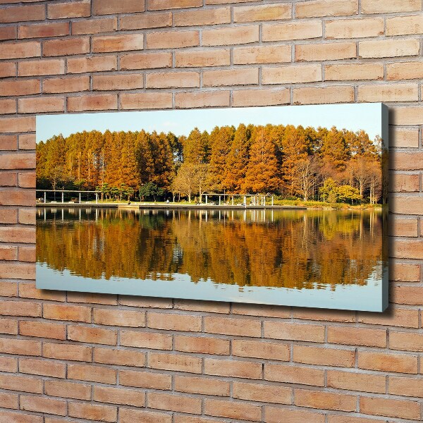 Bild auf leinwand Wald am See