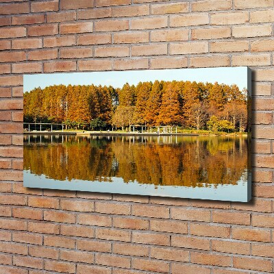 Bild auf leinwand Wald am See