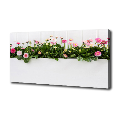 Wandbild Rosa Gänseblümchen