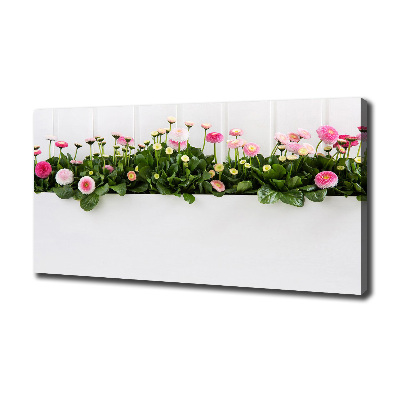 Wandbild Rosa Gänseblümchen