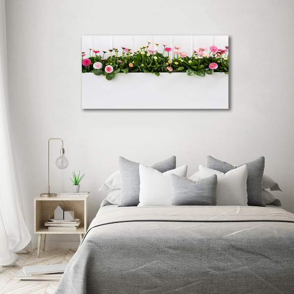 Wandbild Rosa Gänseblümchen