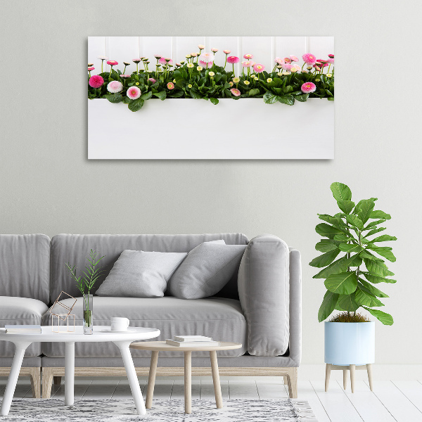 Wandbild Rosa Gänseblümchen