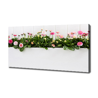 Wandbild Rosa Gänseblümchen