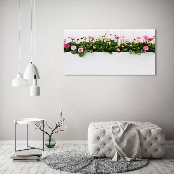 Wandbild Rosa Gänseblümchen