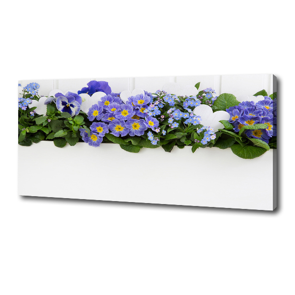 Fotobild Blaue Blumen
