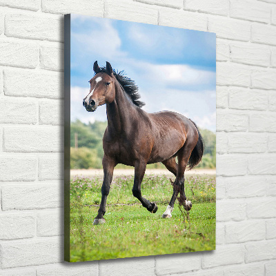 Foto leinwand vertikales Ein Pferd auf einem Feld