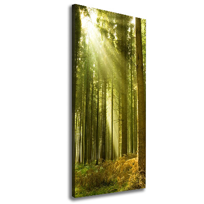 Foto auf leinwand vertikales Die Sonne im Wald