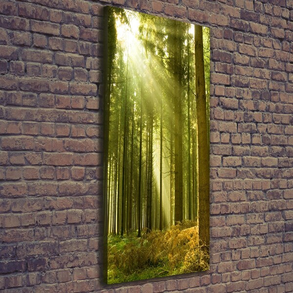 Foto auf leinwand vertikales Die Sonne im Wald
