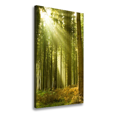 Foto auf leinwand vertikales Die Sonne im Wald