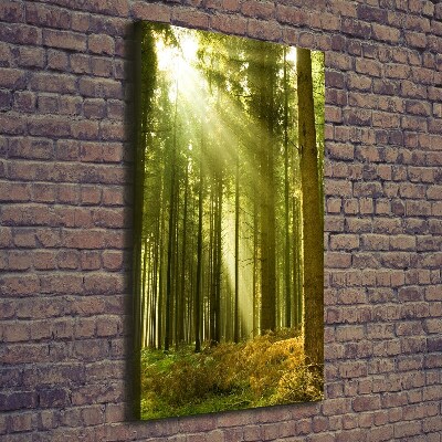 Foto auf leinwand vertikales Die Sonne im Wald
