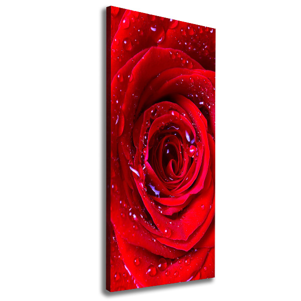 Wandbild vertikales Rote Rose