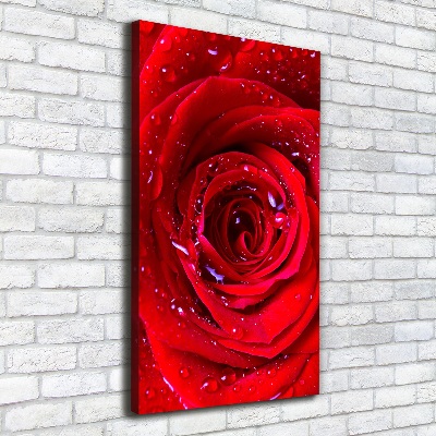 Wandbild vertikales Rote Rose