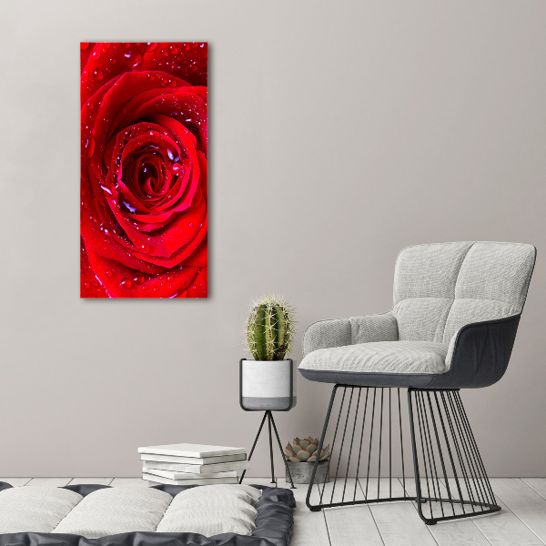 Wandbild vertikales Rote Rose