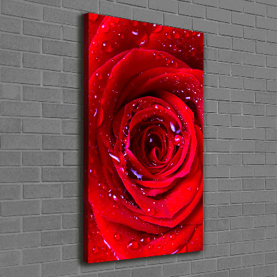 Wandbild vertikales Rote Rose