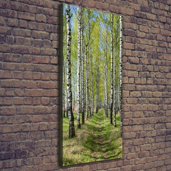 Foto leinwand vertikales Birkenwald