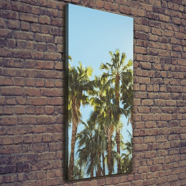 Foto leinwand vertikales Palmen