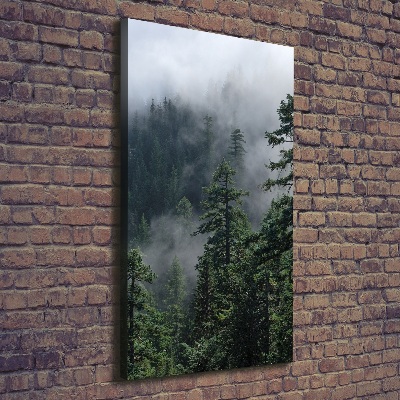 Foto auf leinwand vertikales Nebel über dem Wald
