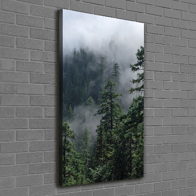 Foto auf leinwand vertikales Nebel über dem Wald