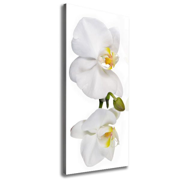 Wandbild vertikales Weiße Orchidee