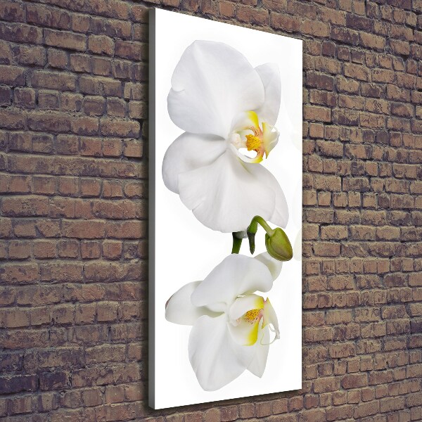 Wandbild vertikales Weiße Orchidee