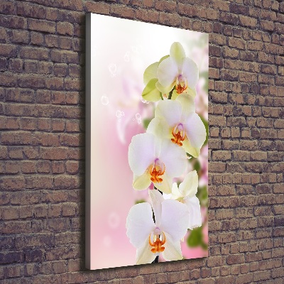 Foto leinwand vertikales Weiße Orchidee