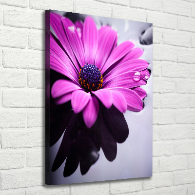 Foto leinwand vertikales Rosa Gerbera